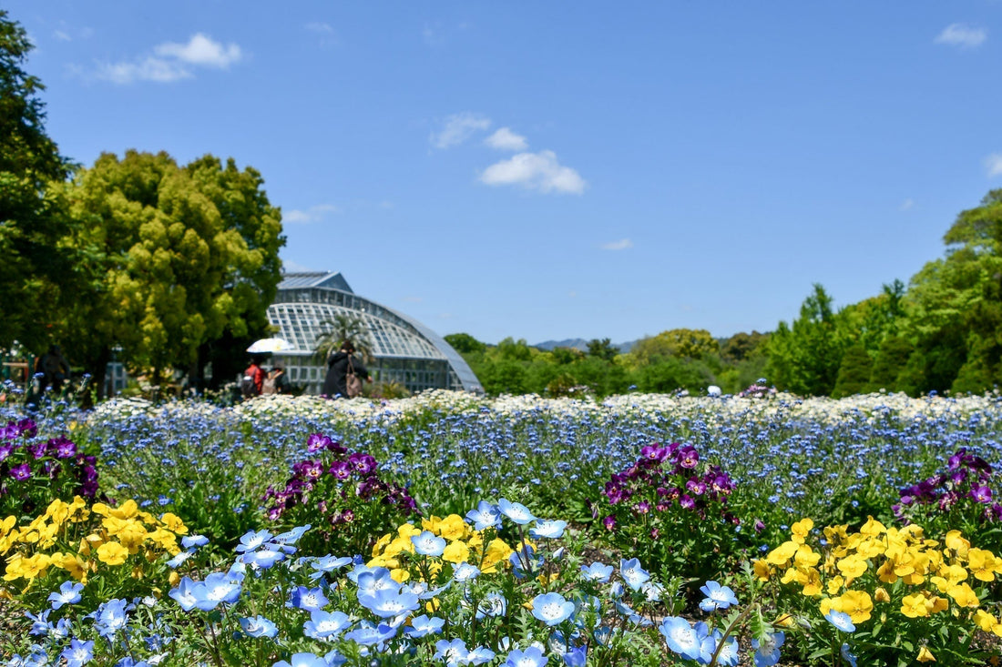 Kyoto Botanical Garden, a healing spot